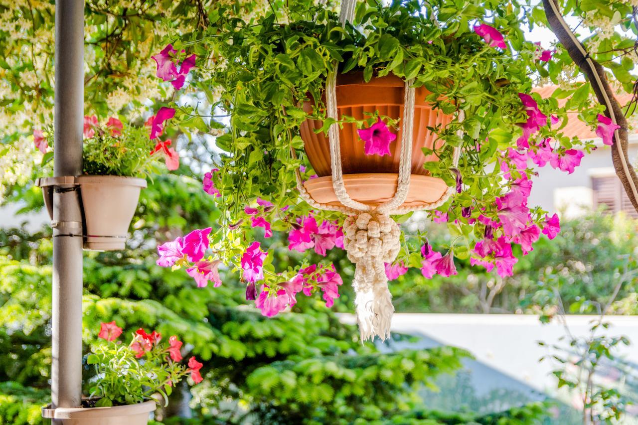 Camellia - Adults Only Apartment Supetar